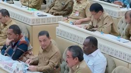 Gubernur Maluku Hendrik Lewerissa dalam rapat bersama Komisi II DPR RI (Foto: Dok.Malukuprov)