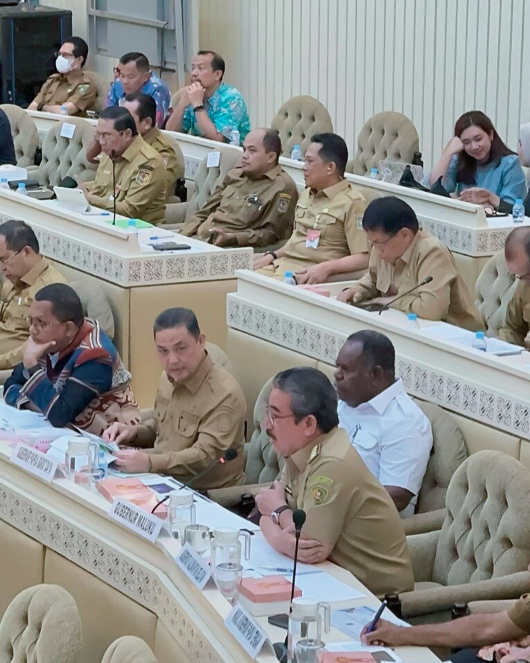 Gubernur Maluku Hendrik Lewerissa dalam rapat bersama Komisi II DPR RI (Foto: Dok.Malukuprov)