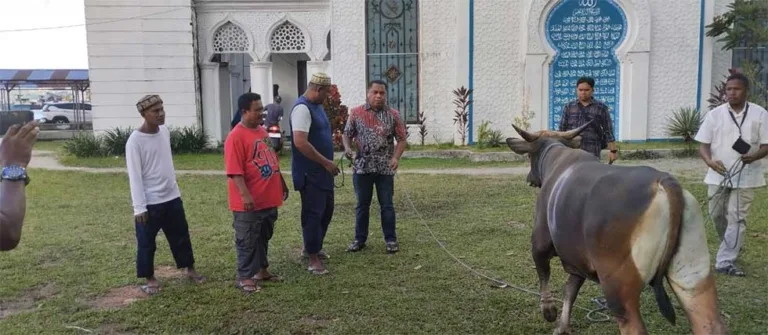 Penyerahan Bantuan Sapi Kurban oleh Ketua DPRD Provinsi Maluku Benhur Watubun kepada pihak Masjid (Foto:ist)