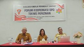 oplus_0