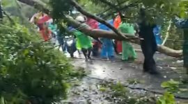 Pohon dan tiang listrik PLN yang tumbang, Lokasi Amahusu (Foto:ist)